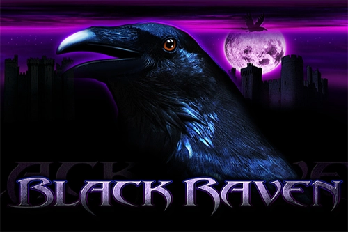 01364 black raven